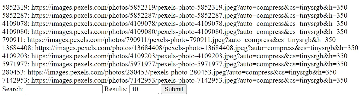 image search form output